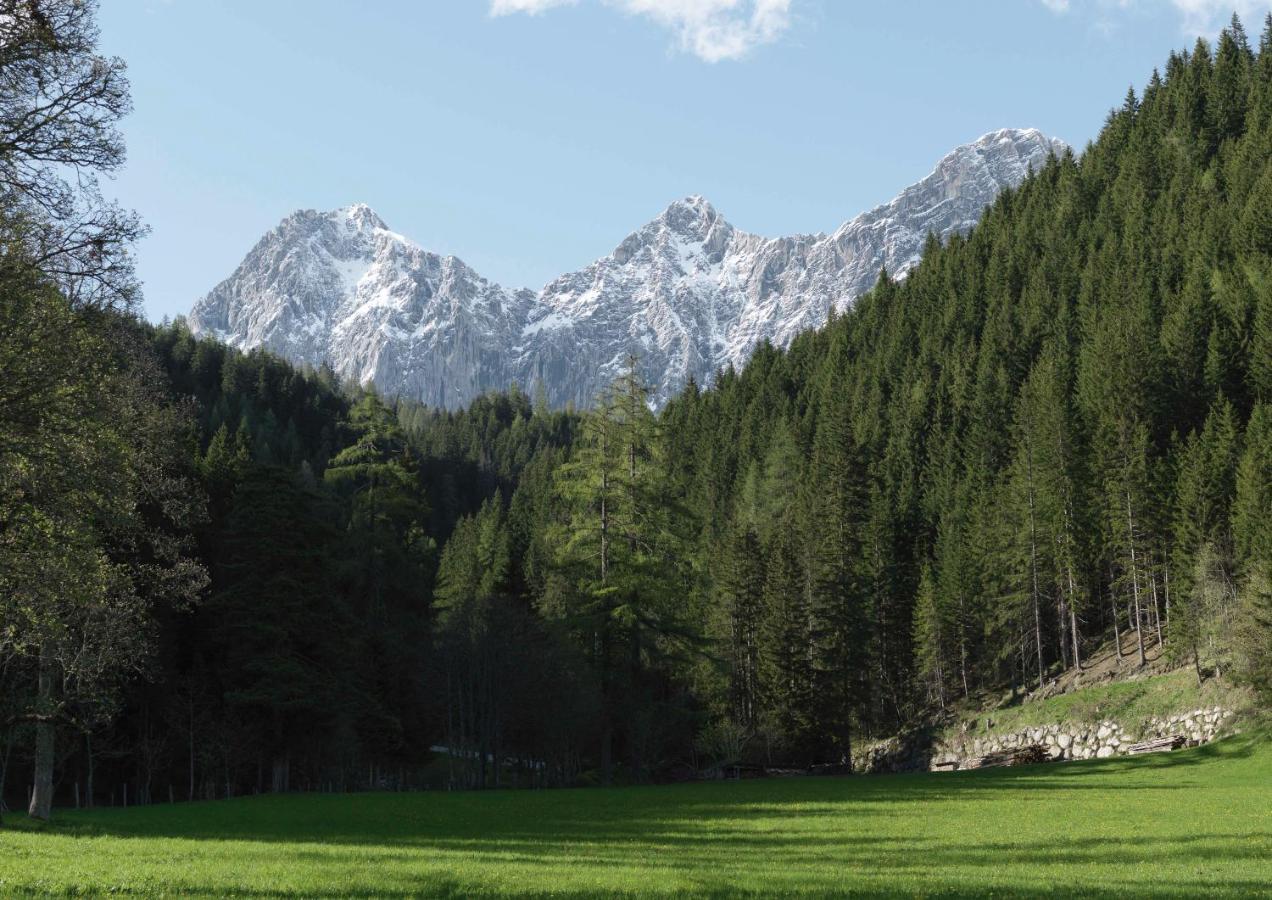 Alpenrose Boutique Chalet Gretl Ramsau am Dachstein Exterior foto
