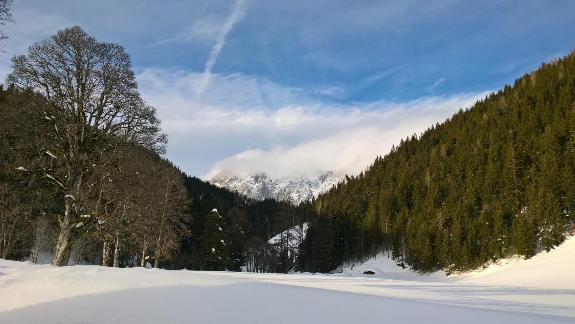 Alpenrose Boutique Chalet Gretl Ramsau am Dachstein Exterior foto
