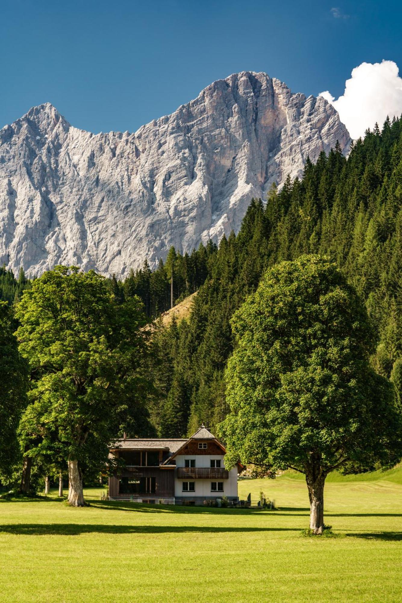 Alpenrose Boutique Chalet Gretl Ramsau am Dachstein Exterior foto